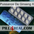 Ginseng Power X 34